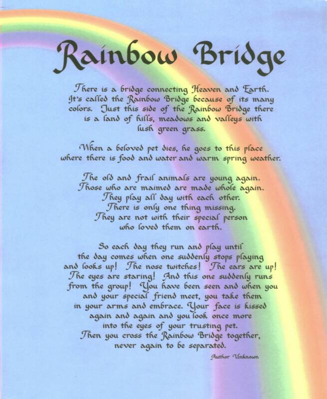 rainbowbridge